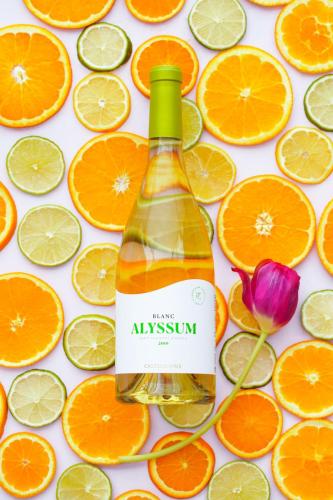 Reklamni-a-produktove-foto 038