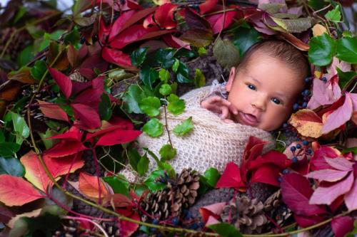 Rodinne-a-tehotenske-fotografie-000 42